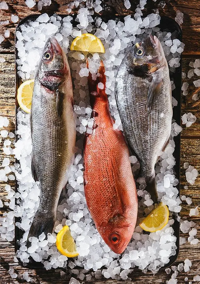 Pescado Pescado